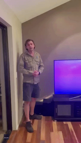Australian Snake Catcher Removes Carpet Python From Behind Family's TV Set