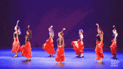 Stage Flamenco GIF by Oriental Dance on line