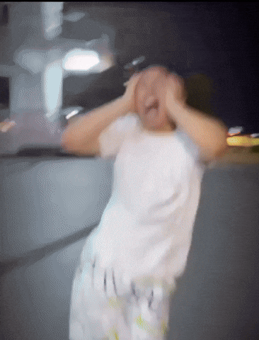 Dolphin Bromance GIF