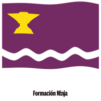 Flag Barcelona GIF by Formación Ninja