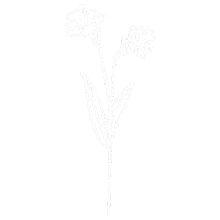 Flower March Sticker