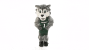Suny Binghamton GIF by Binghamton University
