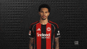 Eintracht Frankfurt GIF by Bundesliga