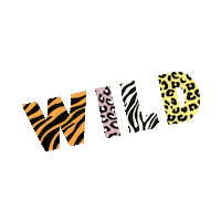 Tiger Cheetah Sticker by Zappos