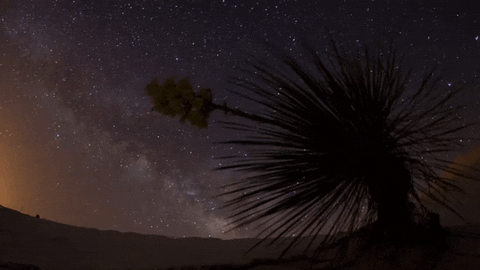 music video whatever GIF by Kaskade