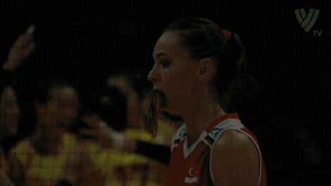 Celebrate Lets Go GIF by Volleyball World