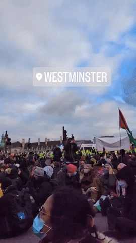 Pro-Palestine Protesters Rally at Westminster Palace to Demand Ceasefire