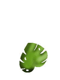 lunicostarica plant leaf tropical costarica Sticker