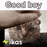 Angry Good Boy GIF by ikas