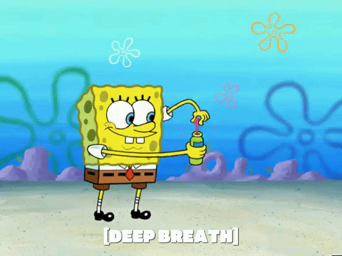 season 6 GIF by SpongeBob SquarePants