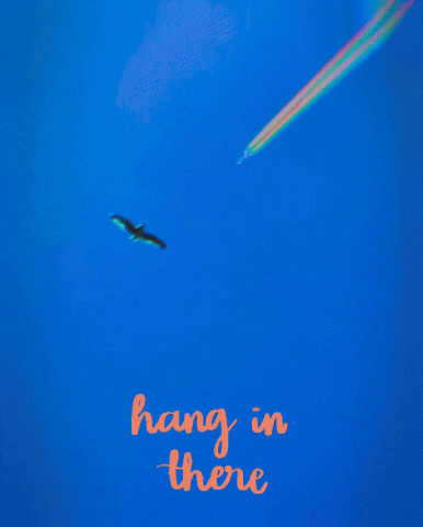 Never Give Up Love GIF