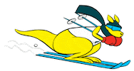 Freestyle Skiing Sticker by AUSOlympicTeam