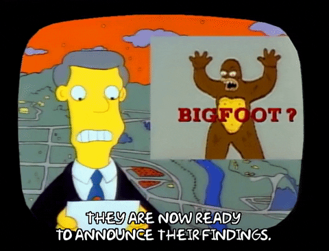 Season 1 GIF by The Simpsons