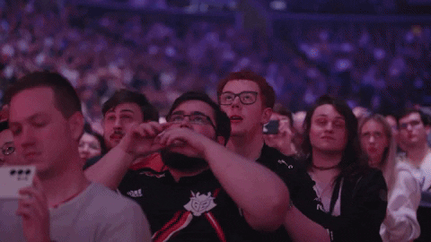 Hype Fan GIF by G2 Esports