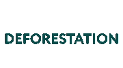 GoForest nature plant forest sustainability Sticker