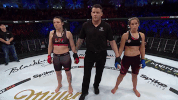 GIF by Bellator