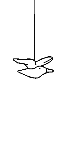 Animated Sticker