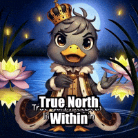 Wisdom Enlightenment GIF by sirduckbeth