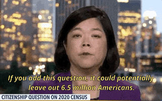 news 2020 census GIF