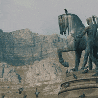 redbullracing car drink racing race GIF