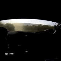 Kenya Driving GIF by FIA World Rally Championship