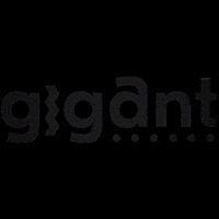gigantapeldoorn gig apeldoorn gigant gigant apeldoorn GIF