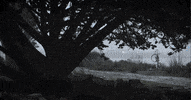 Music Video Rock GIF by Pure Noise Records