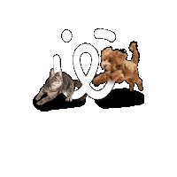 PetWatch pw pet watch app pet watch logo pet sitting dubai Sticker