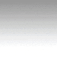 GIF by Viral Amplifier