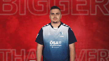 Vbl Club Logo GIF by Bundesliga