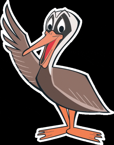 OLOLChildrens cartoon pelican childrens hospital childrens health GIF