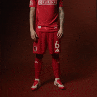 Conrad GIF by St. Louis CITY SC