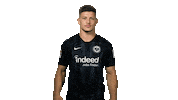 Eintracht Frankfurt Reaction Sticker by Bundesliga