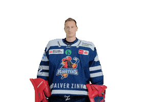 Swipe Up Ice Hockey Sticker by Iserlohn Roosters