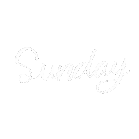 To Do Money Sticker by Palm Social Co.