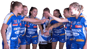 Unihockey Sticker by Kloten-Dietlikon Jets