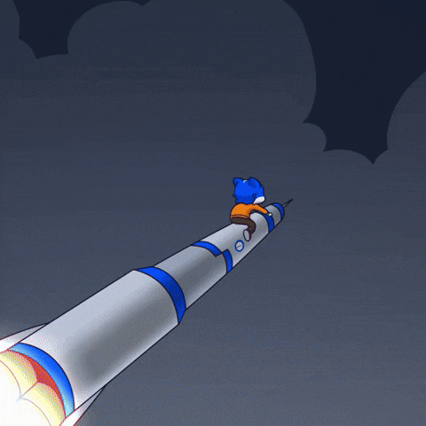 Cat Space GIF by Toshithecat