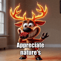 Gratitude Abundance GIF by elkijahspark