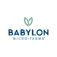 babylonmf green sustainability earthday babylon Sticker