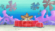 Nickelodeon GIF by SpongeBob SquarePants