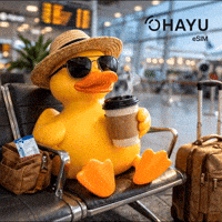 Flying Not Available GIF by Ohayu eSIM