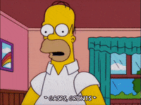 homer simpson GIF