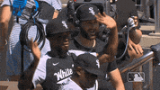 Waving Regular Season GIF by MLB