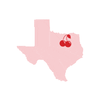 fort worth fashion Sticker by Cherry