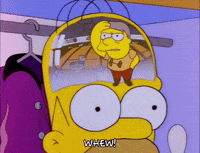 homer simpson episode 13 GIF