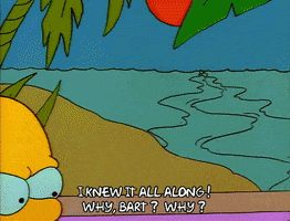 Season 1 GIF by The Simpsons