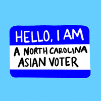 Voting North Carolina GIF by #GoVote