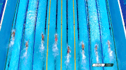 sun yang swimming GIF