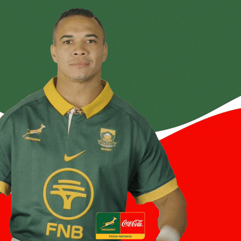 Springboks Bokke GIF by The Coca-Cola Company Africa