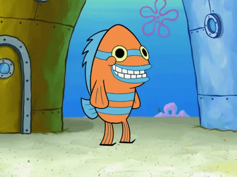 season 8 GIF by SpongeBob SquarePants